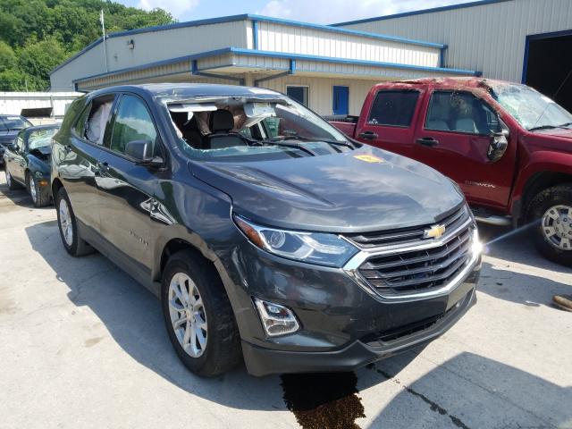 CHEVROLET EQUINOX LS 2019 3gnaxhevxks557603