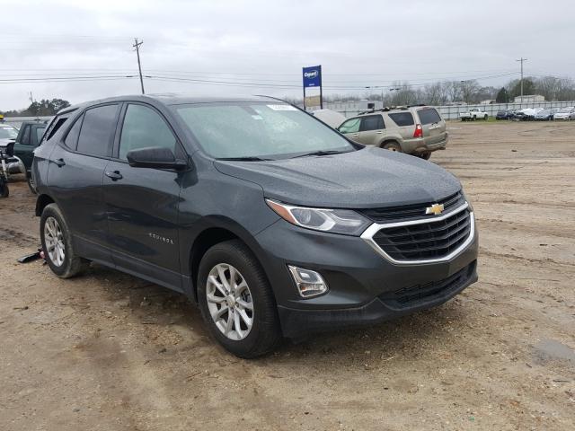 CHEVROLET EQUINOX LS 2019 3gnaxhevxks599835