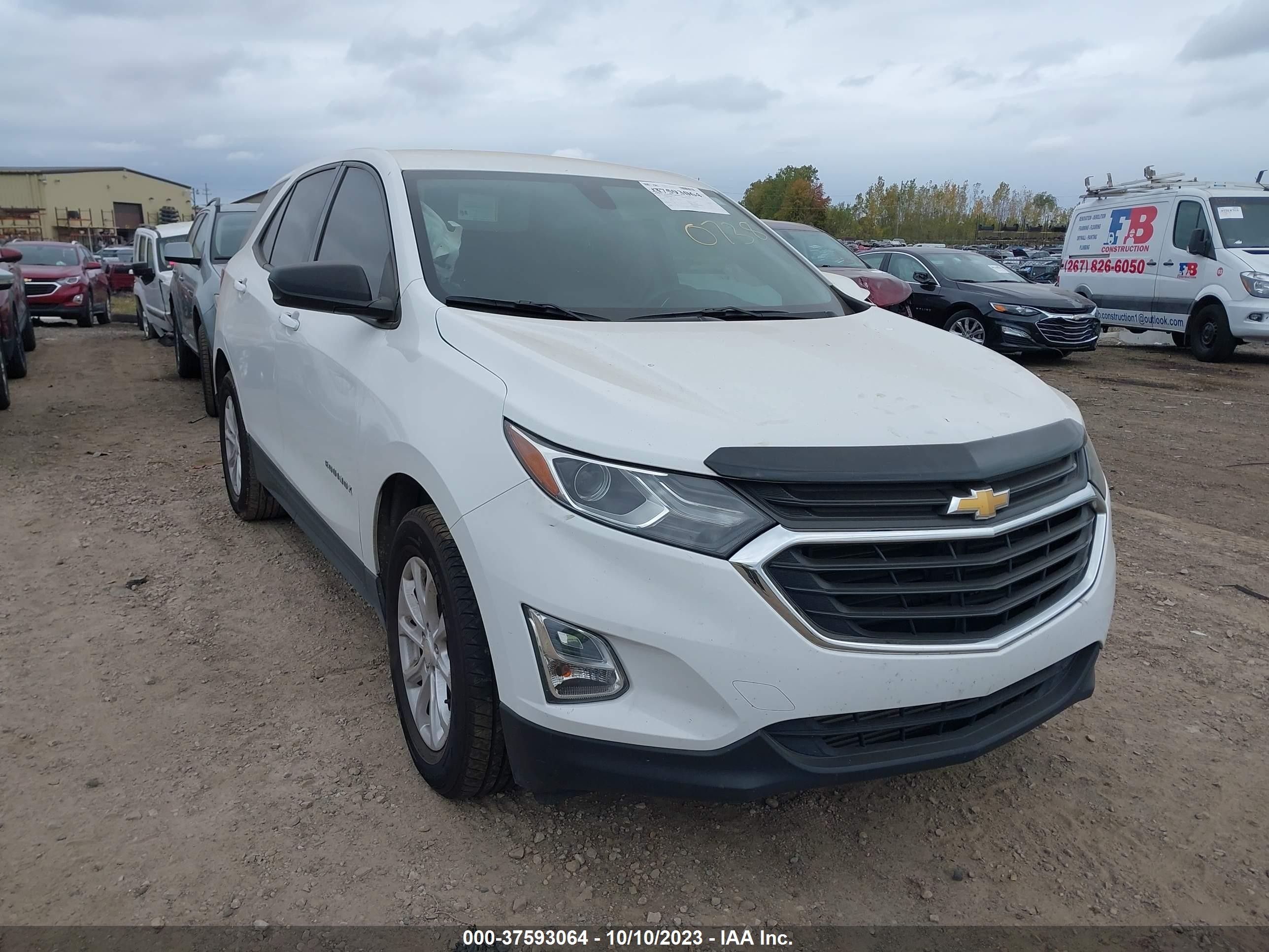 CHEVROLET EQUINOX LS 2019 3gnaxhevxks640738