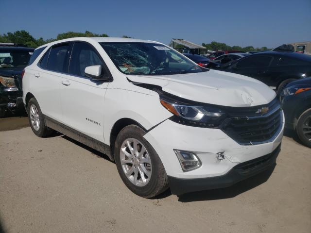 CHEVROLET EQUINOX LT 2019 3gnaxkev8ks554115