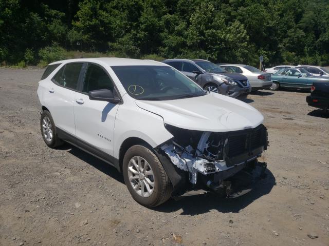 CHEVROLET EQUINOX LS 2020 3gnaxsev2ls549672