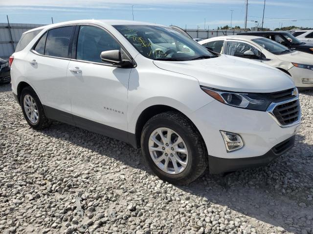 CHEVROLET EQUINOX LS 2019 3gnaxsev3ks554894