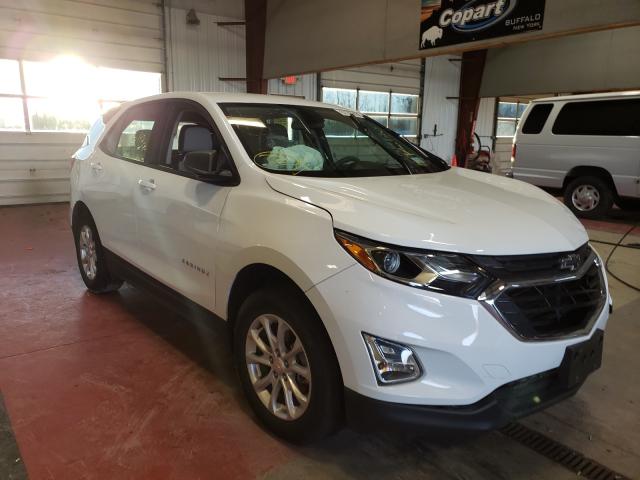 CHEVROLET EQUINOX LS 2019 3gnaxsev3ks679040