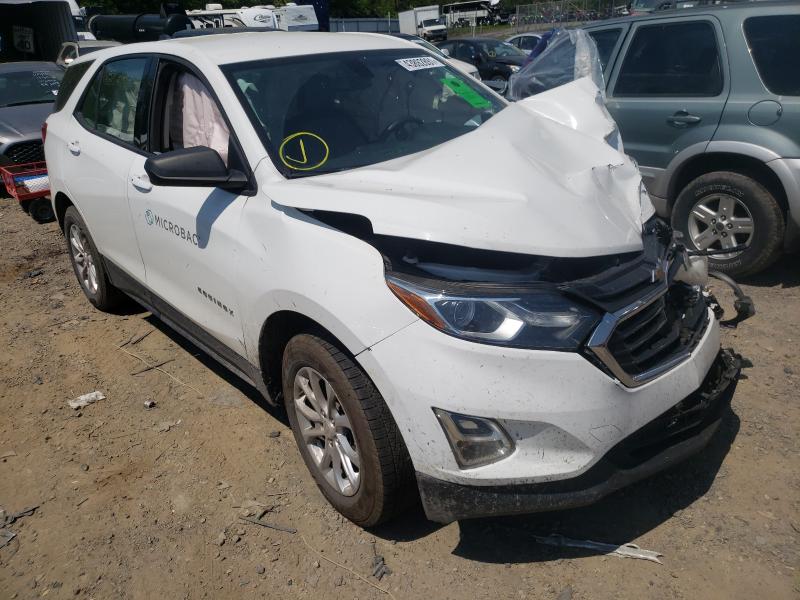 CHEVROLET EQUINOX LS 2019 3gnaxsev4ks622927