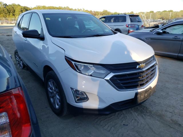 CHEVROLET EQUINOX LS 2019 3gnaxsev4ks664739