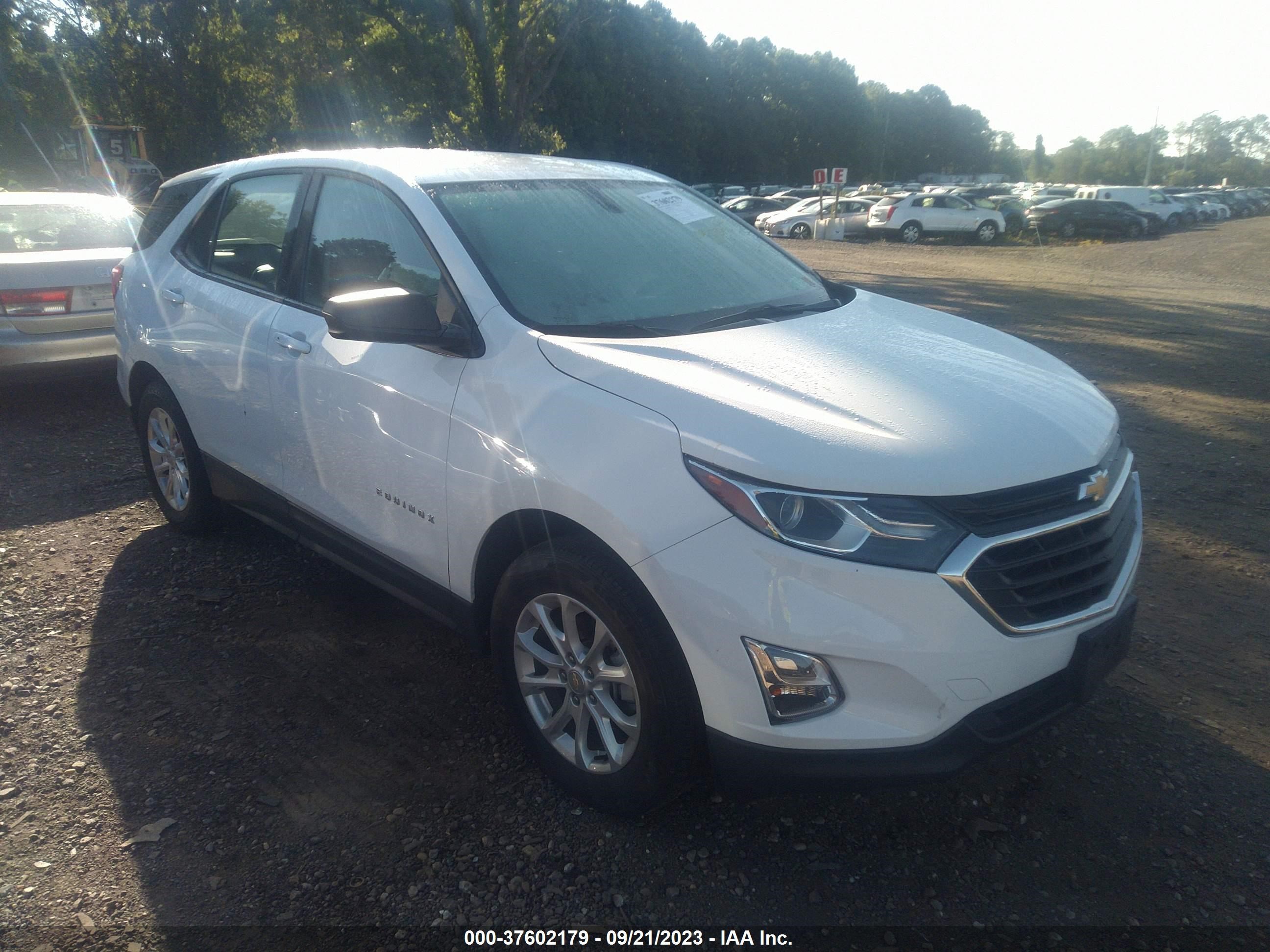 CHEVROLET EQUINOX 2019 3gnaxsev6ks566294