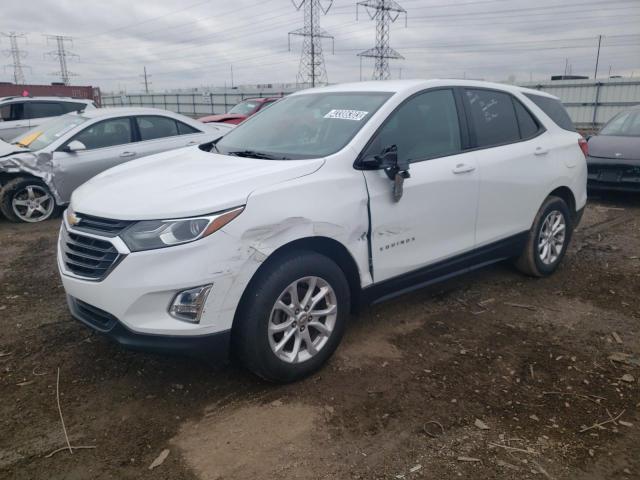 CHEVROLET EQUINOX LS 2019 3gnaxsev7ks558396