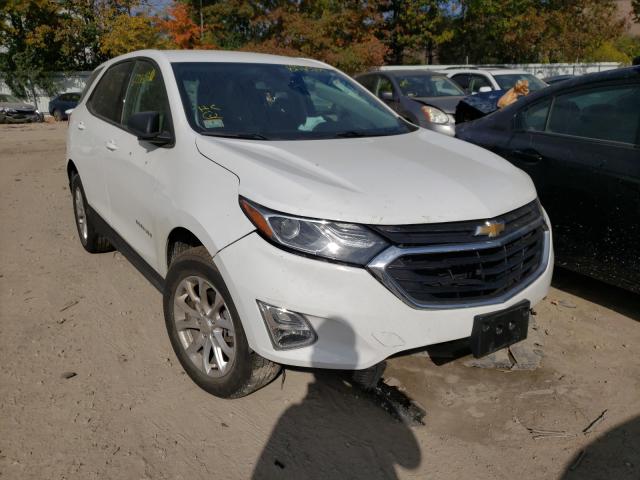 CHEVROLET EQUINOX LS 2019 3gnaxsev7ks564196