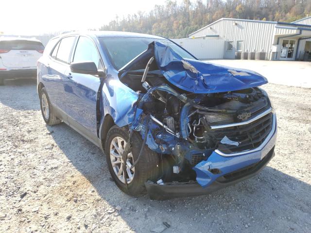 CHEVROLET EQUINOX LS 2019 3gnaxsev8ks558178