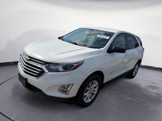 CHEVROLET EQUINOX LS 2019 3gnaxsev8ks561873