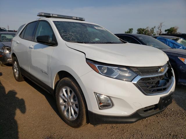 CHEVROLET EQUINOX LS 2019 3gnaxsev9ks564765