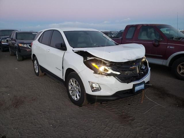 CHEVROLET EQUINOX LS 2019 3gnaxsevxks517650