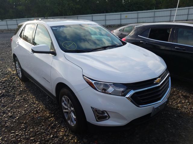 CHEVROLET EQUINOX LT 2019 3gnaxuev7kl117308