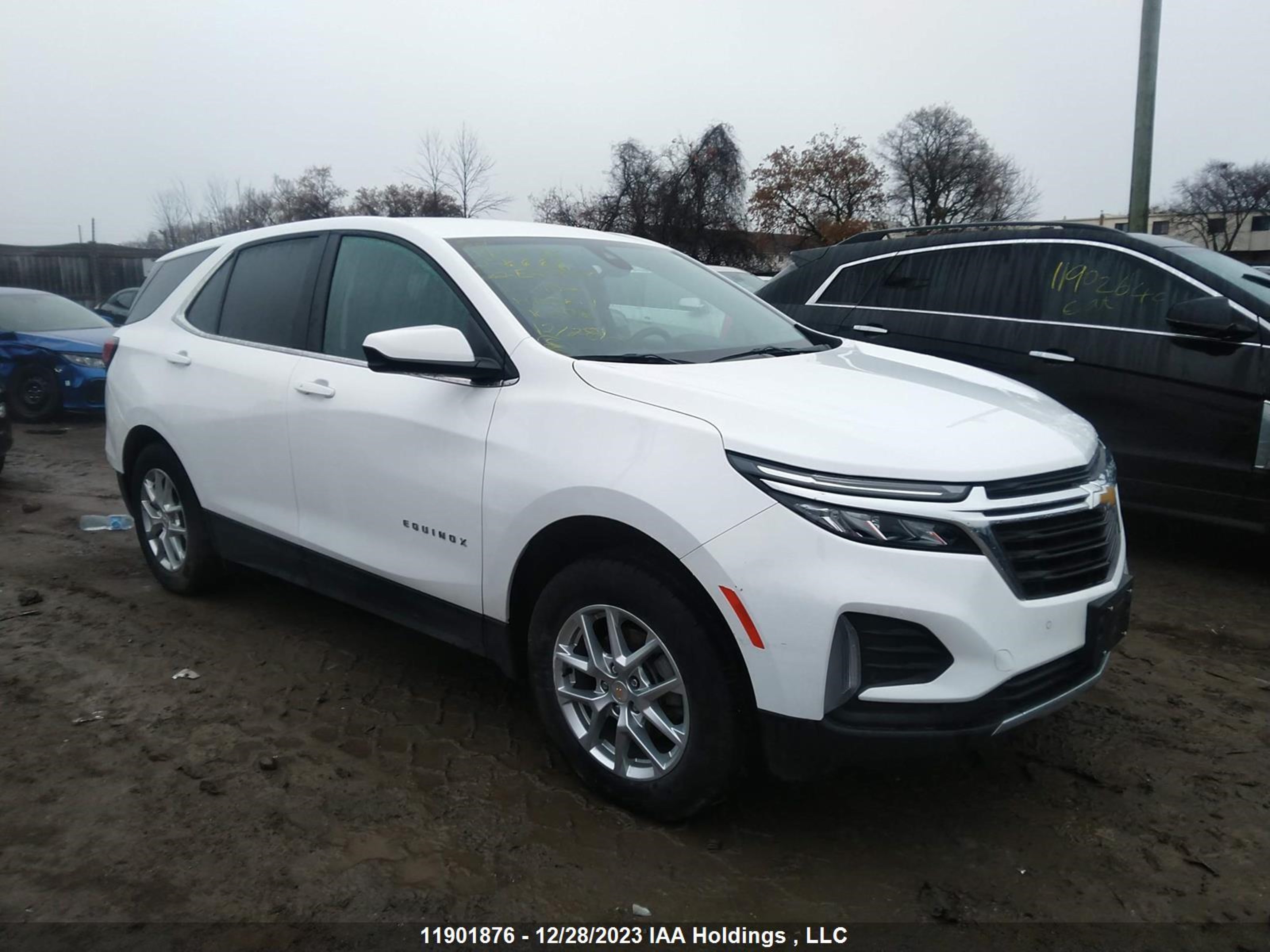 CHEVROLET EQUINOX 2022 3gnaxuevxnl276666