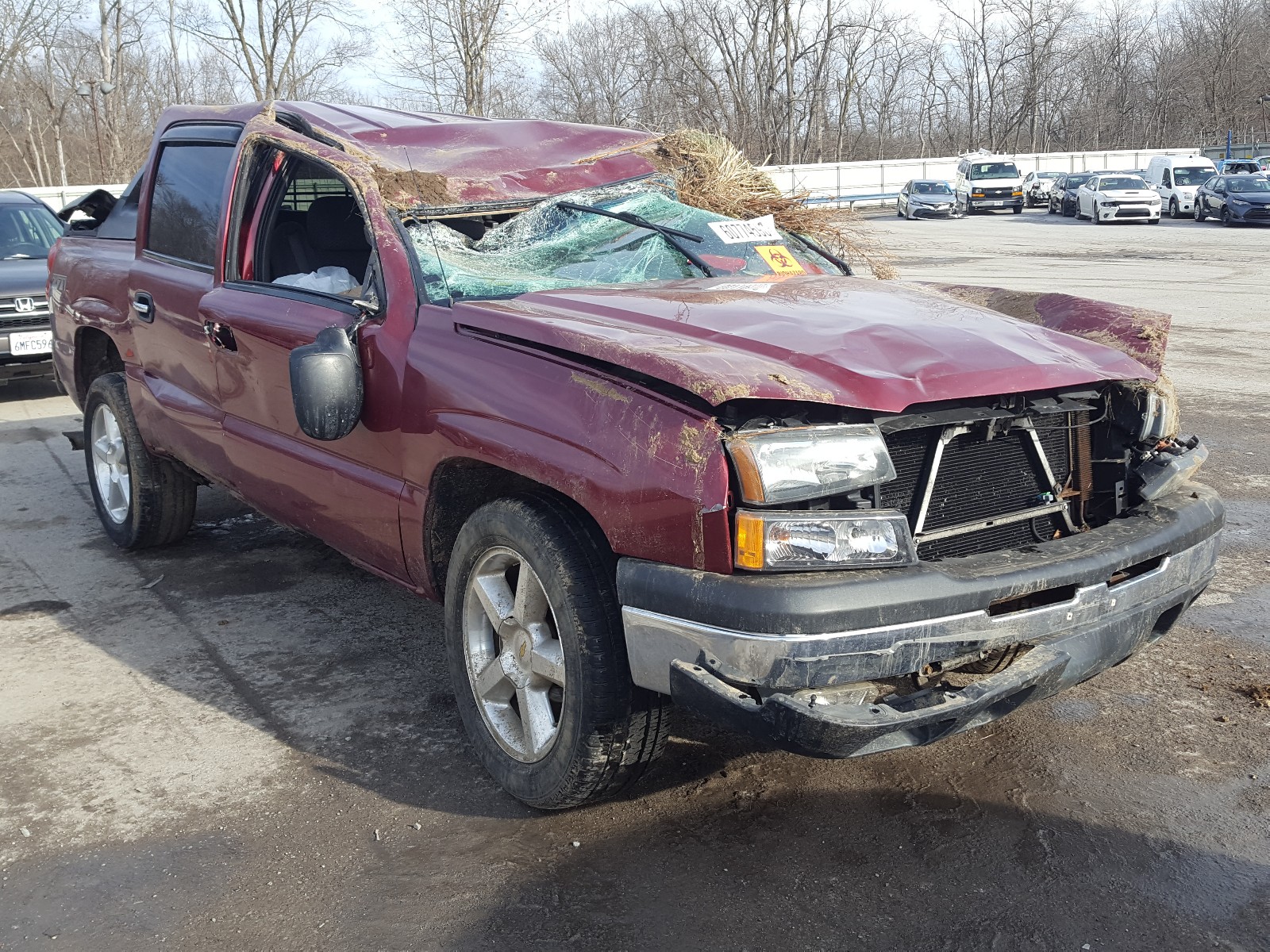 CHEVROLET AVALANCHE 2004 3gnek12t14g143724