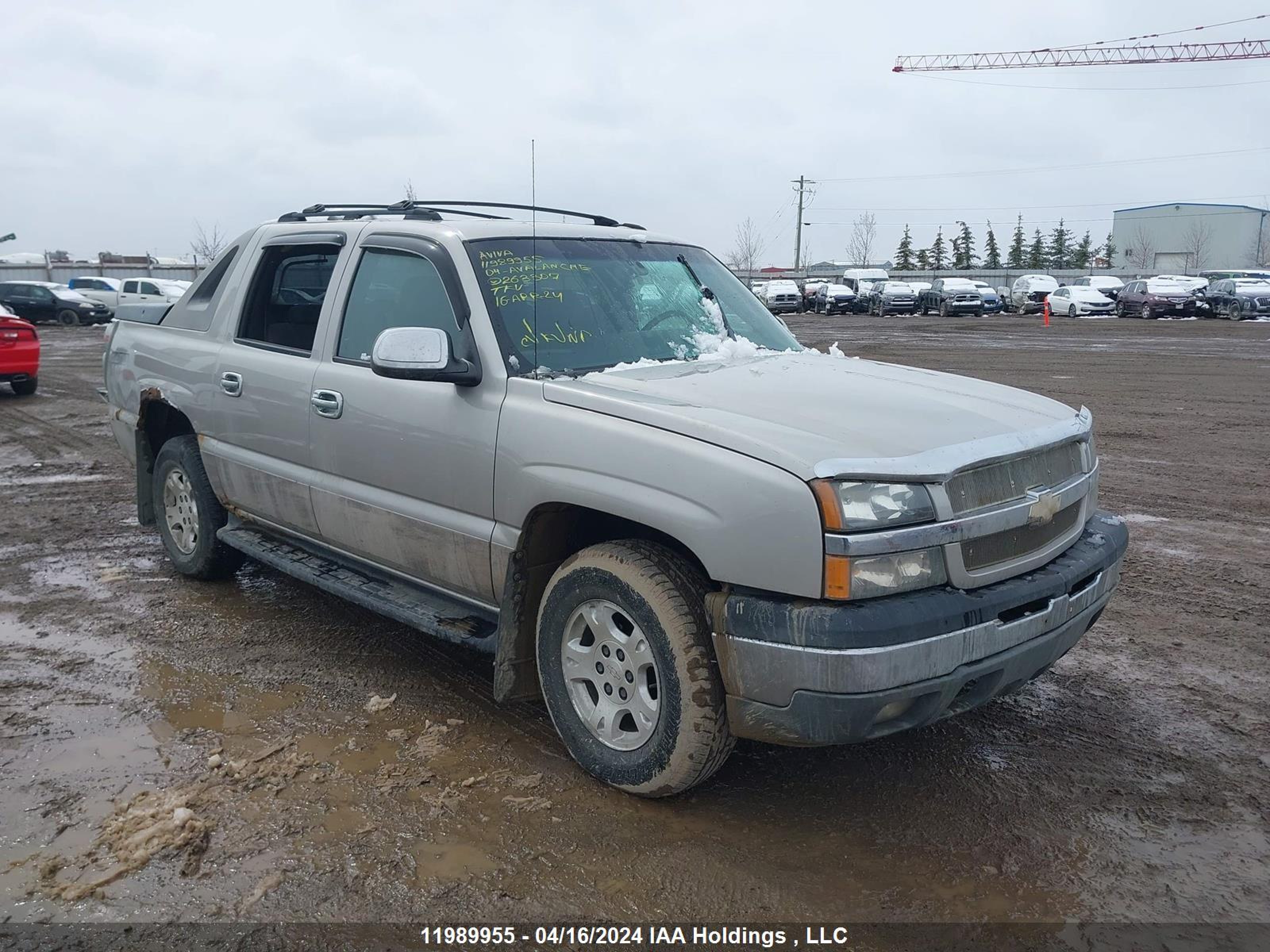 CHEVROLET AVALANCHE 2004 3gnek12t44g263307