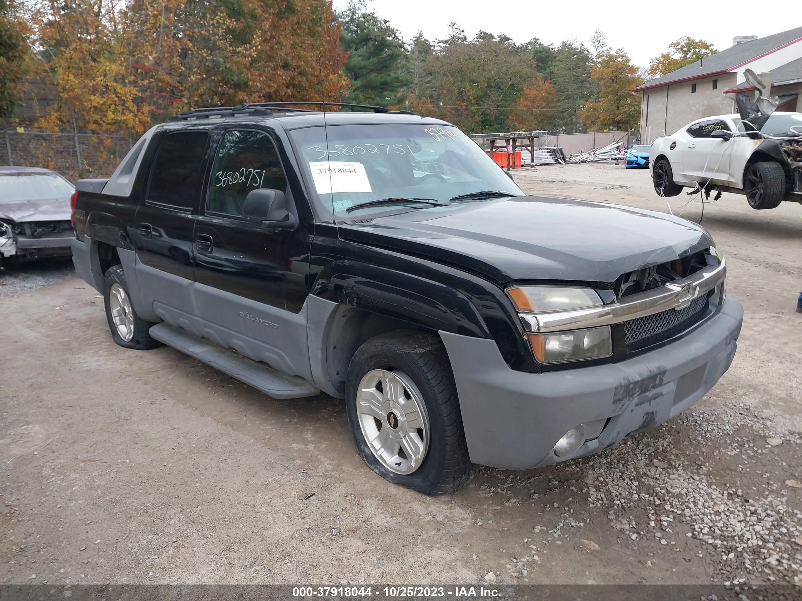 CHEVROLET AVALANCHE 2002 3gnek13t32g122059