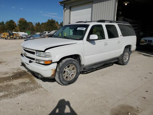 CHEVROLET SUBURBAN K 2004 3gnfk16z64g291712