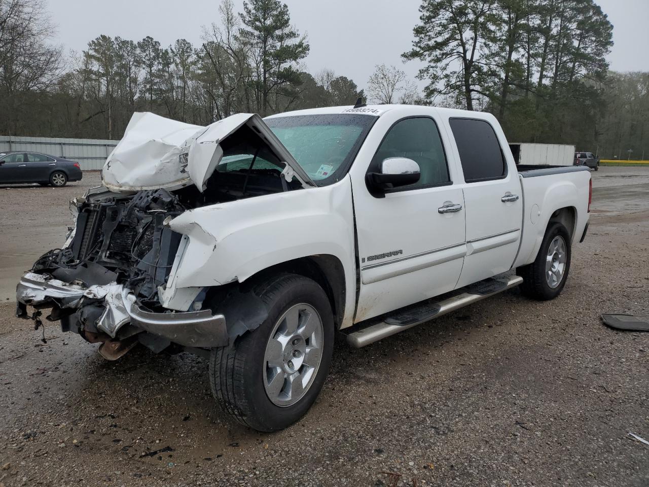 GMC SIERRA 2009 3gtec23019g270559