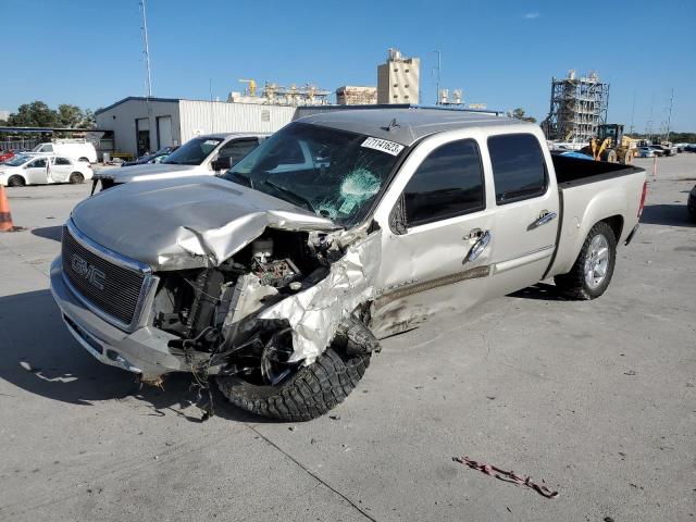 GMC SIERRA C15 2009 3gtec23059g225950