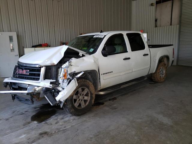 GMC SIERRA 2009 3gtec23j59g155908