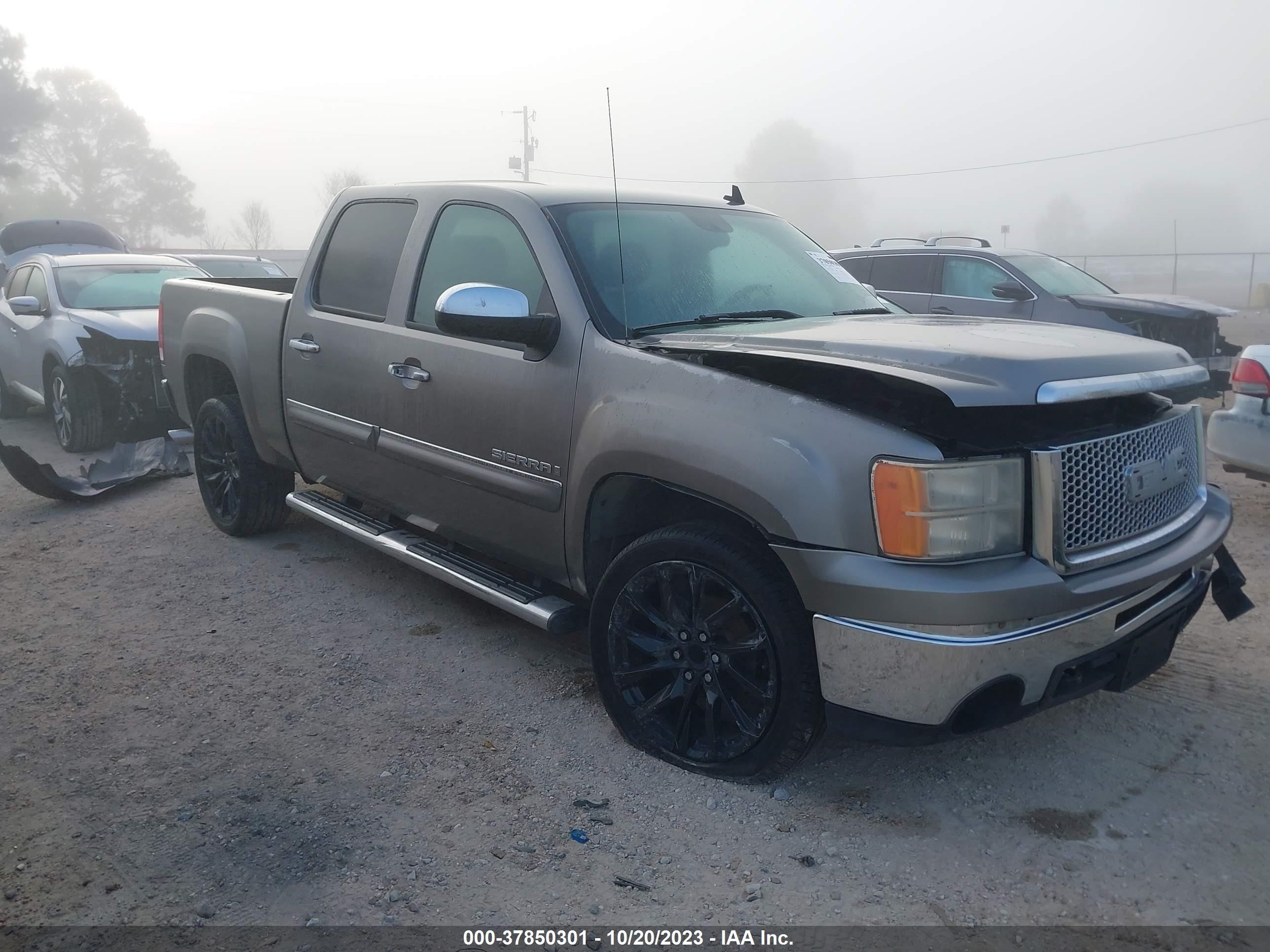 GMC SIERRA 2009 3gtec23j99g156351