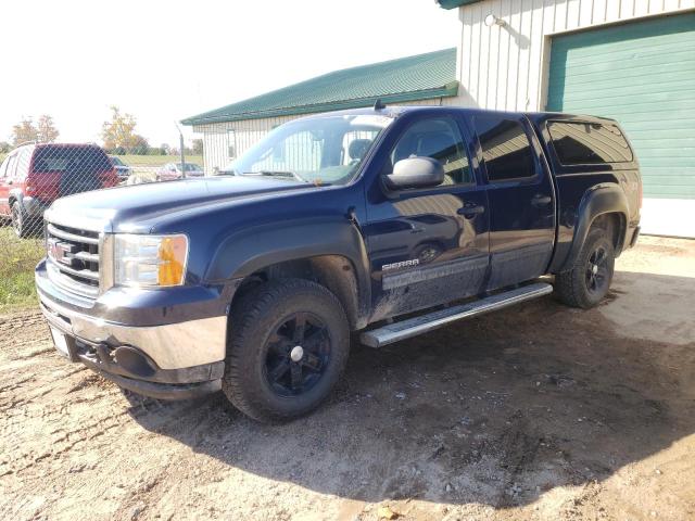 GMC SIERRA 2009 3gtek233x9g283016