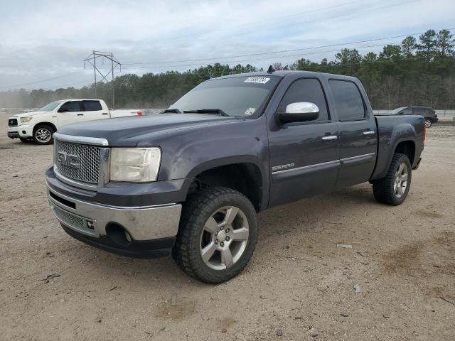 GMC SIERRA 2010 3gtrcve04ag220629