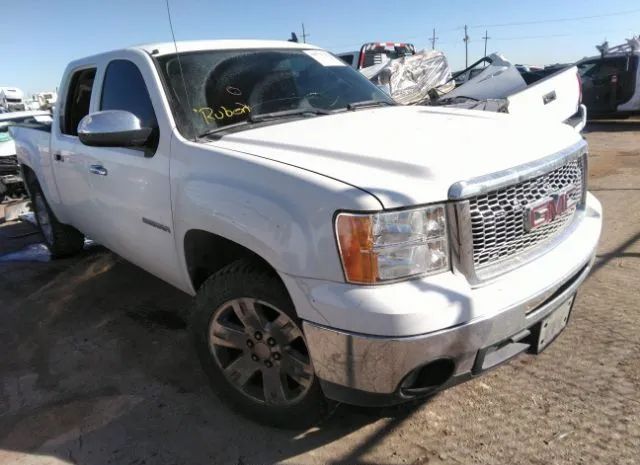 GMC SIERRA 1500 2010 3gtrcve05ag205802