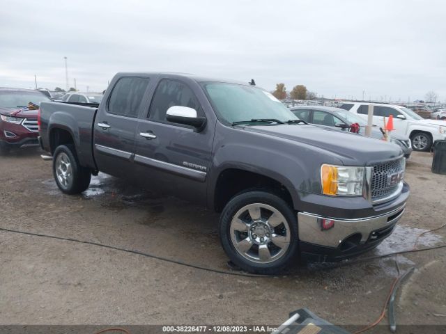 GMC SIERRA 1500 2010 3gtrcve06ag135145