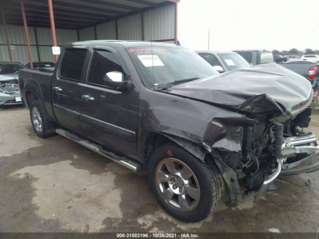 GMC SIERRA 1500 2010 3gtrcve07ag163701