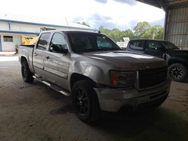 GMC SIERRA C15 2010 3gtrcve08ag263631