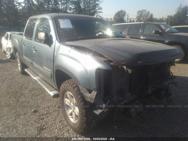 GMC SIERRA 1500 2010 3gtrkve38ag173814