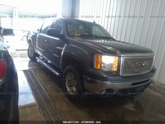 GMC SIERRA 1500 2010 3gtrkve38ag275808