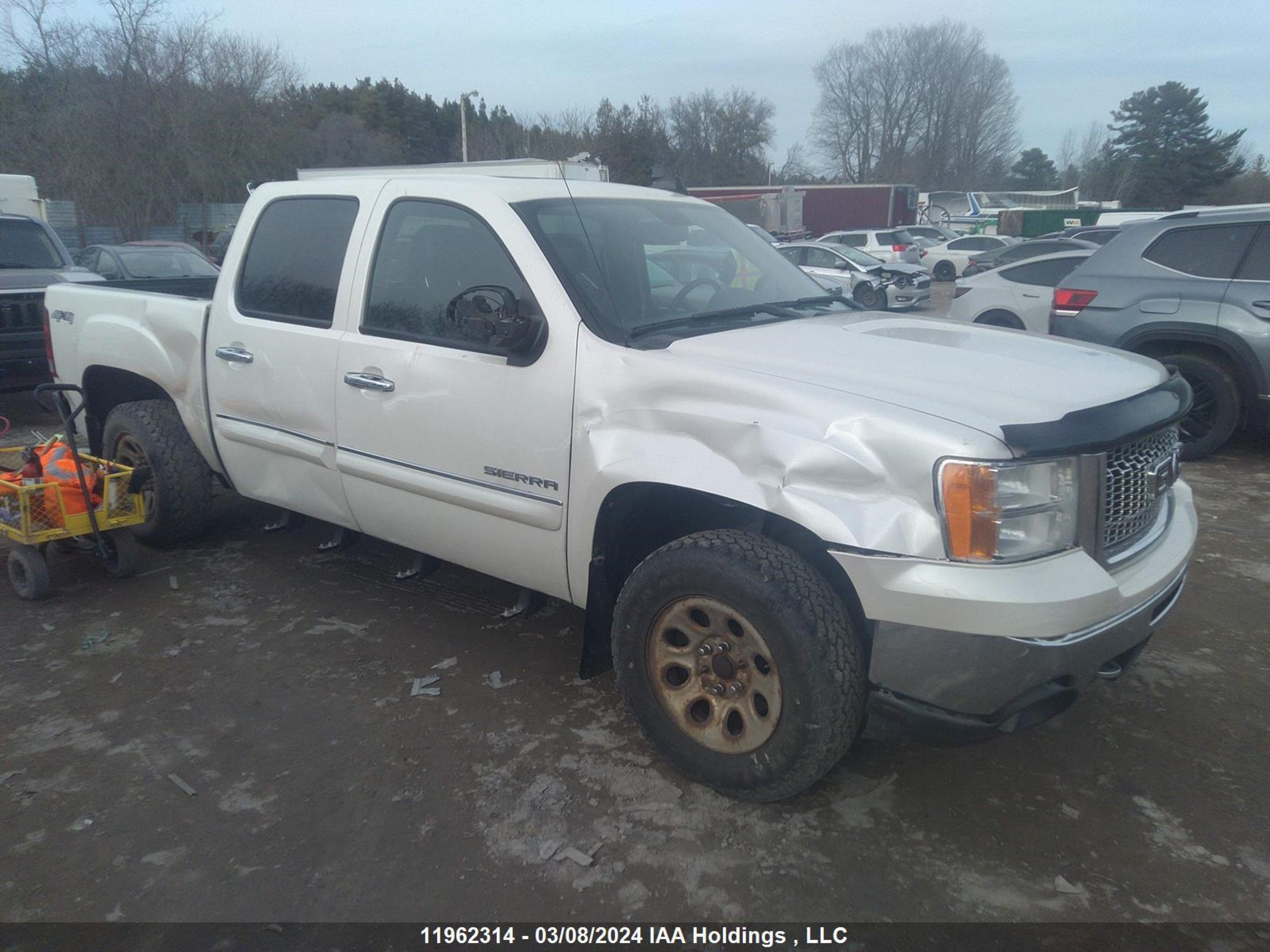 GMC SIERRA 2010 3gtrkwe33ag274183