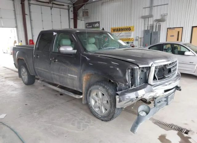 GMC SIERRA 1500 2010 3gtrkwe36ag233983