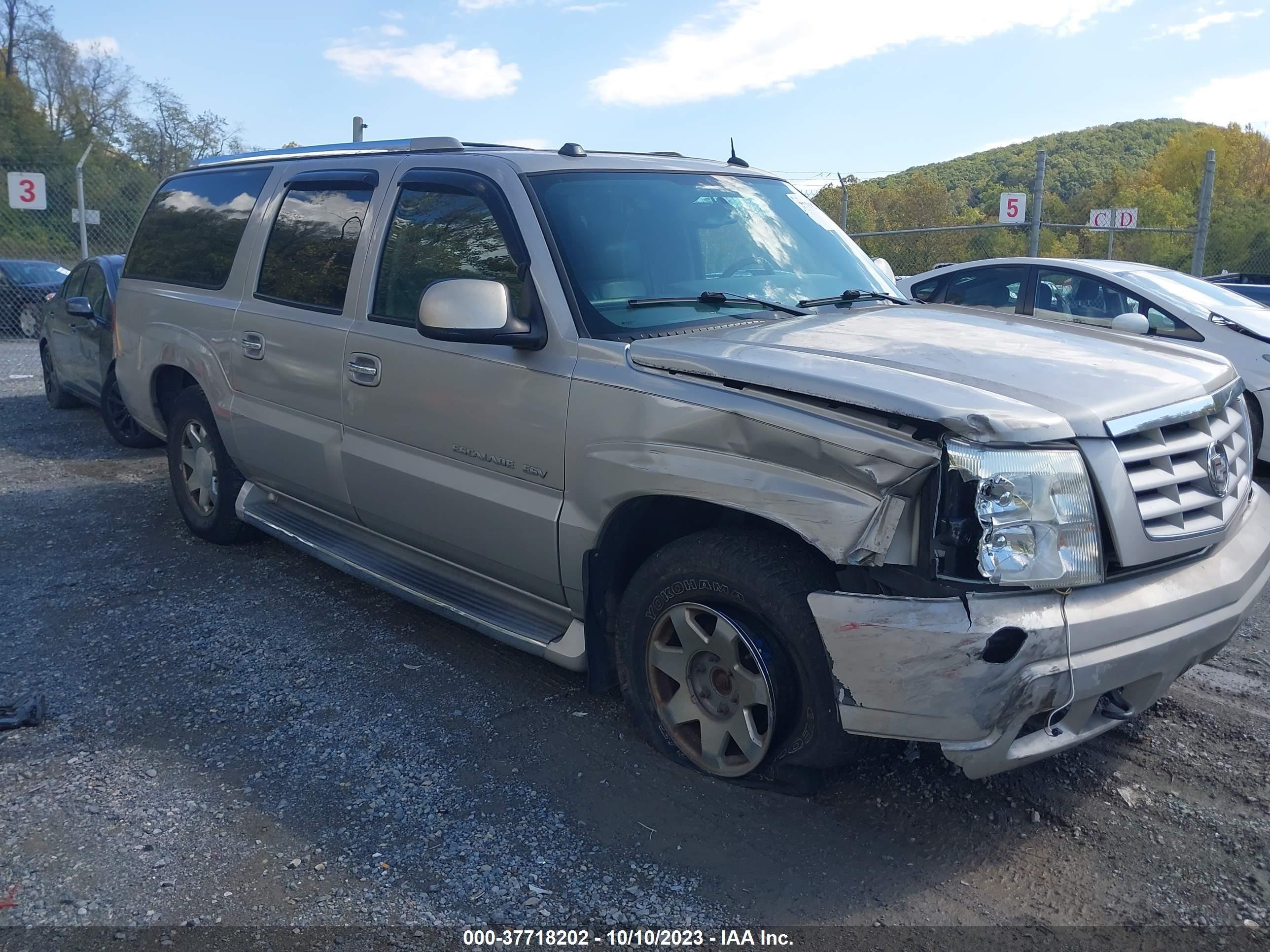 CADILLAC ESCALADE 2004 3gyfk66n04g196771