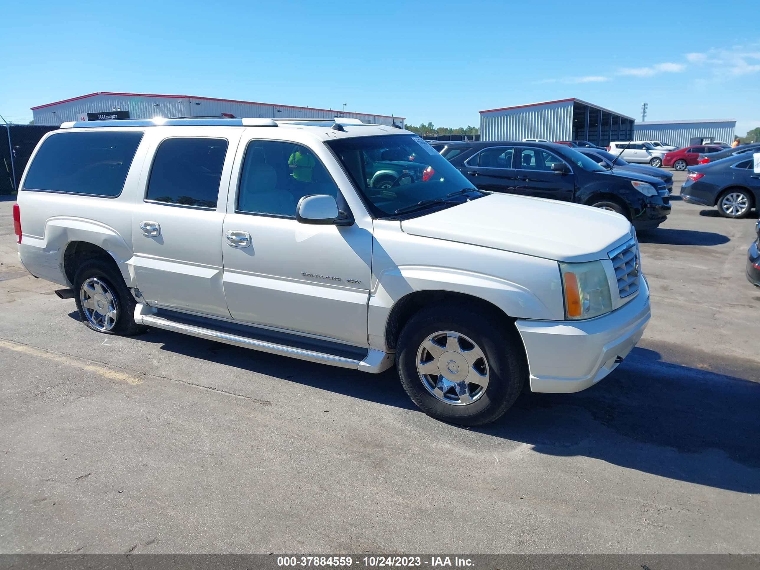 CADILLAC ESCALADE 2004 3gyfk66n14g113882