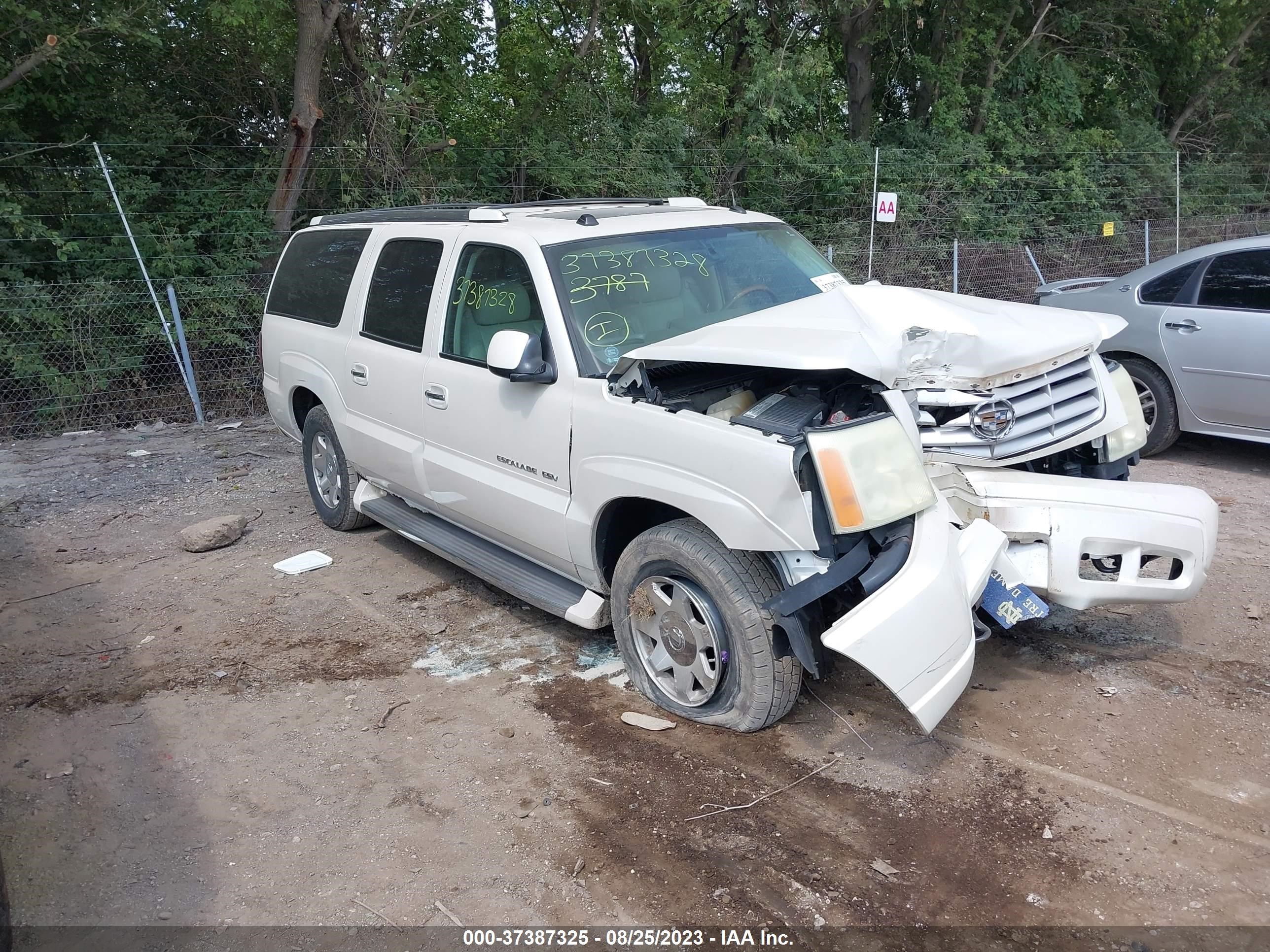 CADILLAC ESCALADE 2004 3gyfk66n54g267561