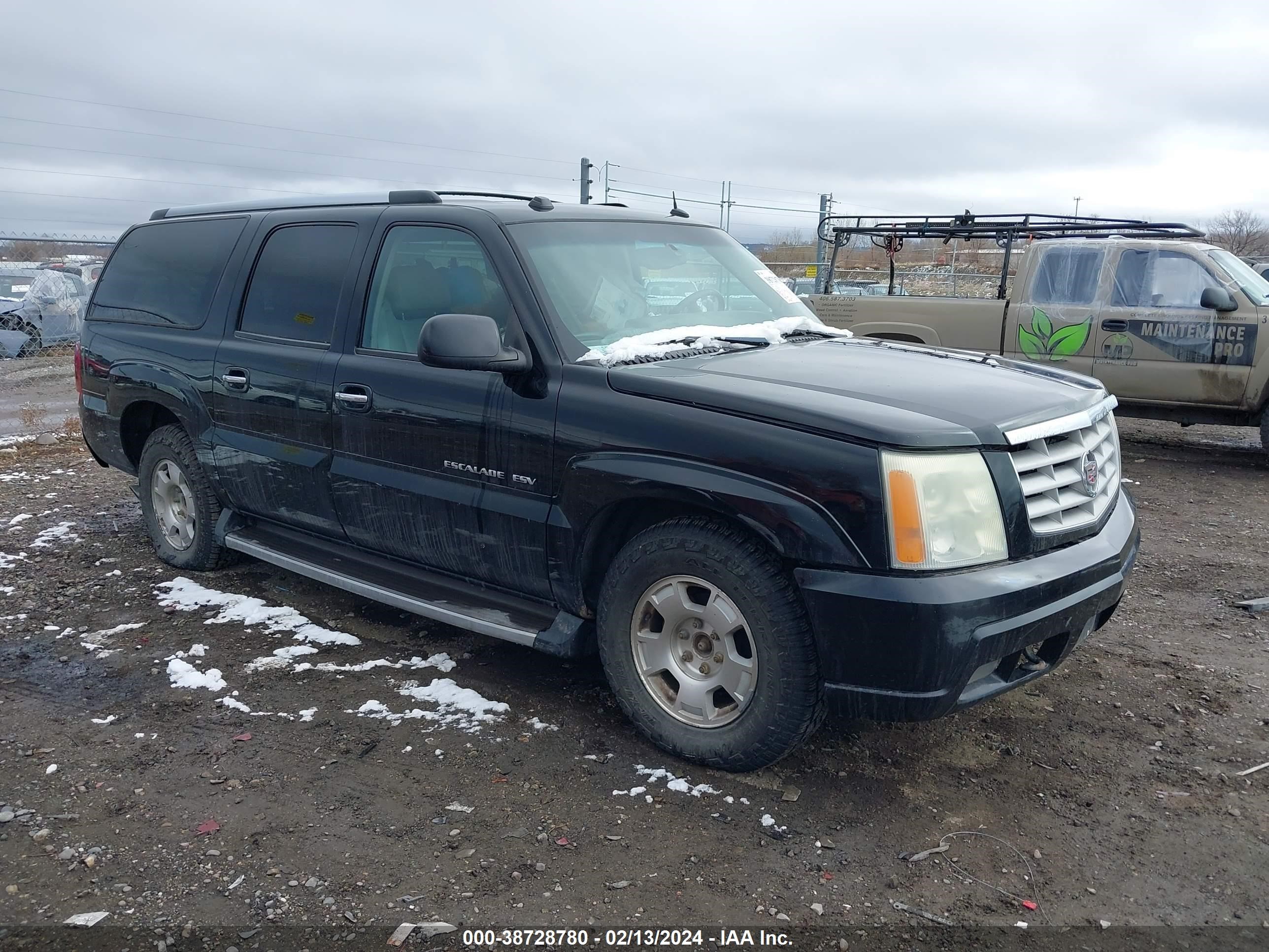 CADILLAC ESCALADE 2004 3gyfk66nx4g203970