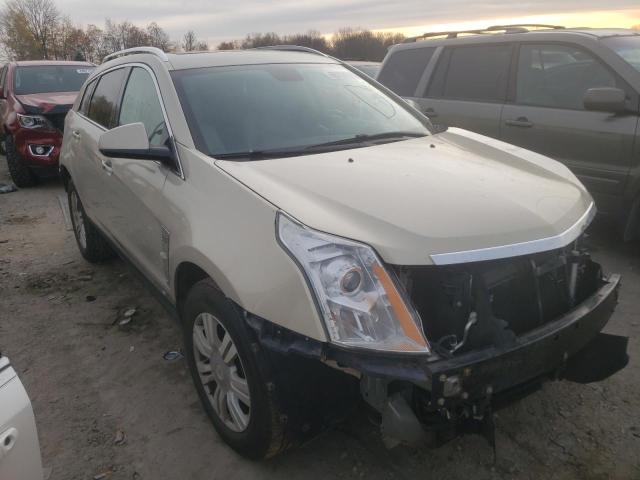 CADILLAC SRX LUXURY 2012 3gyfnae33cs531804