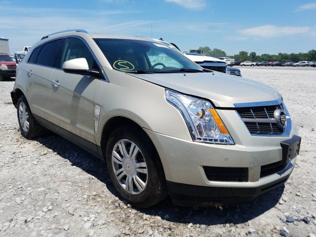 CADILLAC SRX LUXURY 2012 3gyfnae34cs506572