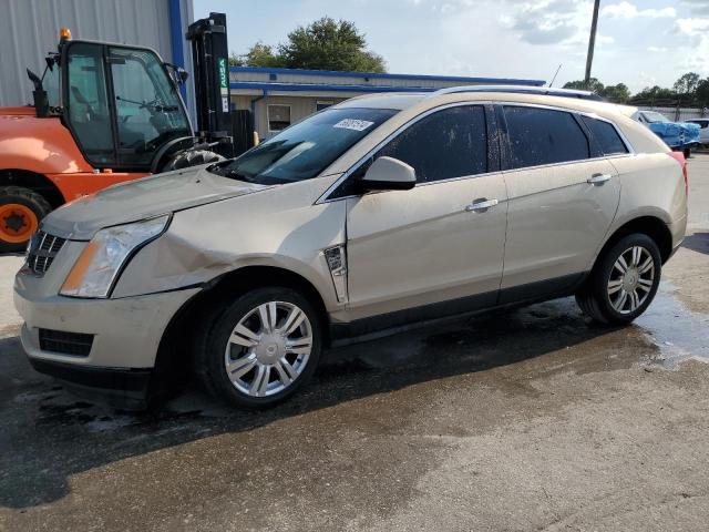 CADILLAC SRX LUXURY 2012 3gyfnae37cs568239