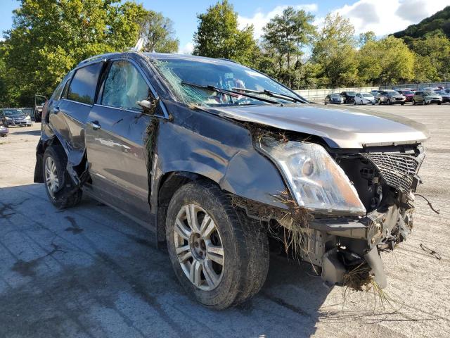 CADILLAC SRX LUXURY 2012 3gyfnae38cs614466