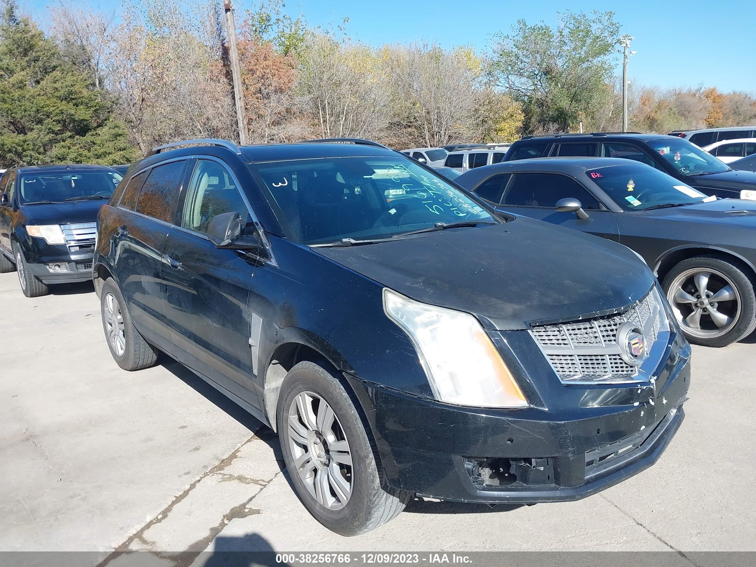 CADILLAC SRX 2010 3gyfnaey0as516993