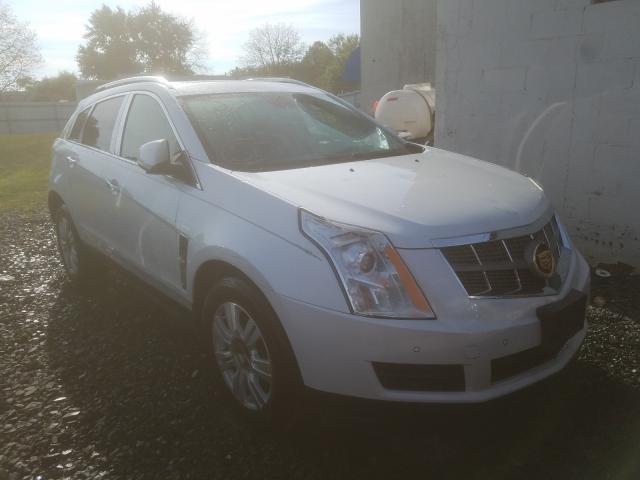 CADILLAC SRX LUXURY 2010 3gyfnaey0as550240