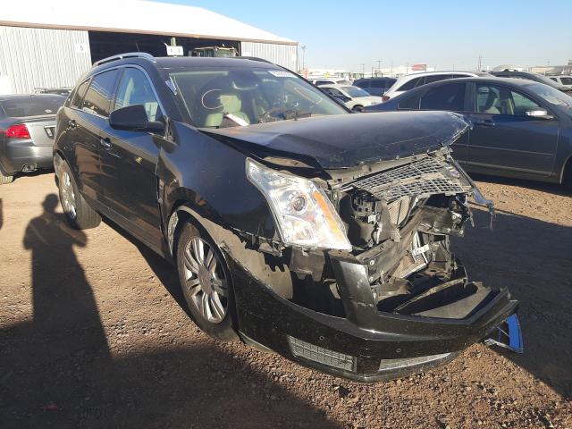 CADILLAC SRX LUXURY 2010 3gyfnaey0as555325