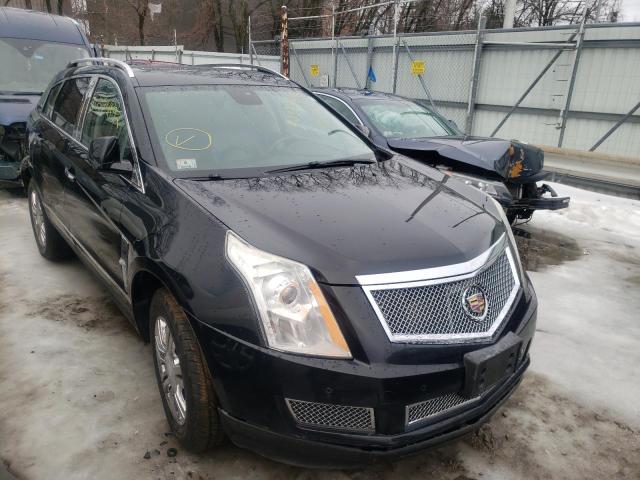 CADILLAC SRX LUXURY 2010 3gyfnaey0as611960