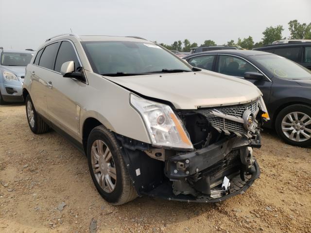 CADILLAC SRX LUXURY 2010 3gyfnaey0as647812