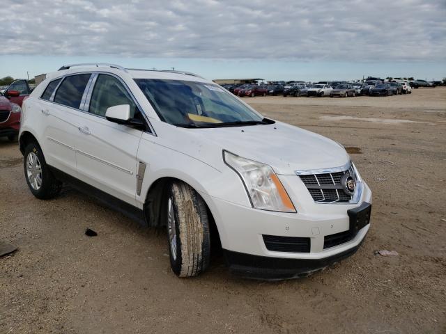 CADILLAC SRX LUXURY 2010 3gyfnaey0as650015